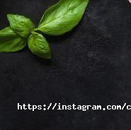 Crazy Rocky, мережа піццерій фото