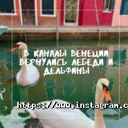 Турне-М, туристична компанія фото