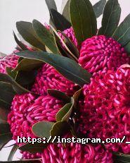 Missis Norris, салон квітів і подарунків фото