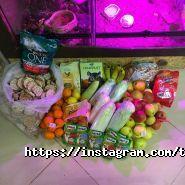 Зворушливий, зоопарк фото