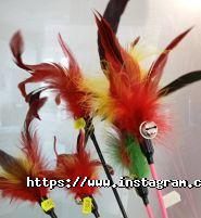 Тріовет, мережа ветеринарних клінік фото