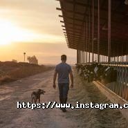 Alltech, сельско-хозяйственные базы фото