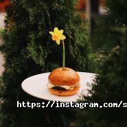 Star Burger, мережа кафе швидкого харчування фото