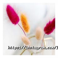 L kas, школа-студія нарощування вій фото