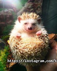 Зворушливий, зоопарк фото