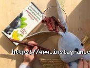 Kucheriava Pastila, магазин натуральних солодощів фото