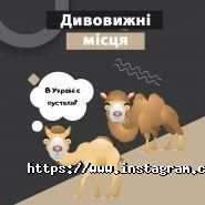 Час поїсти, кафе-бистро фото