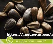 Агроген Ново, ветеринарно-діагностичний центр фото