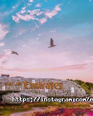 Emirates, авіакомпанія фото