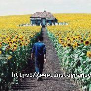 Веселка, туристична компанія фото