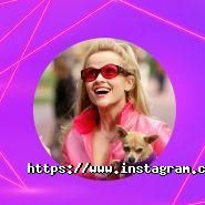 Wizoria Колос, кінотеатр всеукраїнської мережі фото