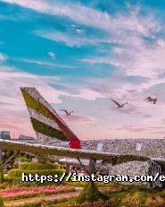 Emirates, авіакомпанія фото