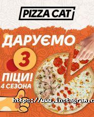 Pizza Cat, піцерія фото