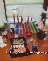 Yoko Sushi, доставка їжі фото