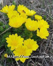 Сонячна, база відпочинку фото