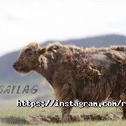 Кызыл Тан, дом тканей и фурнитуры фото