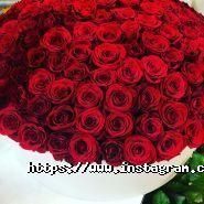 Lavender, квітковий магазин фото