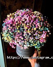 Lavender, квітковий магазин фото