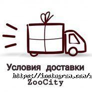 Zoo_City, зоомагазин фото