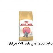 Альф, зоомагазин фото