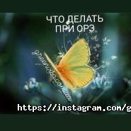 Грін-Віза, інтернет-магазин фото