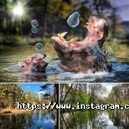 Лідер, оздоровчий табір фото