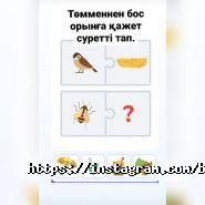 BBKids, детский центр развития фото