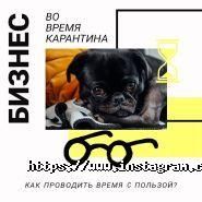 Delfin Studio, веб-студія фото