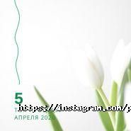 Панна Davis, салон краси фото