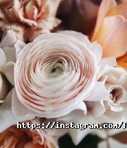 Flowers Cafe, кафе фото