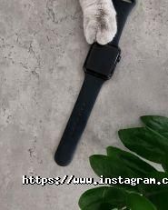 iCentr, ремонт та продаж Apple iPhone, iPad, Macbook фото