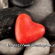 FENIX, центр психологического и физического здоровья фото