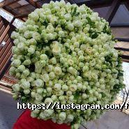 Flority, квітковий магазин фото