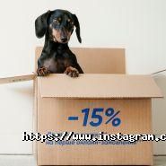 Спортмастер, магазин спорттоварів фото