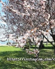 Capsular House, хостел фото