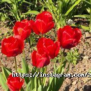 Ключ, агентство нерухомості фото