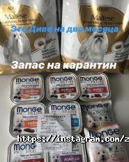 4 лапы, зоомагазин фото