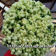 Flority, квітковий магазин фото