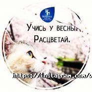 Водолій, доставка води фото