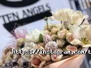 Ten Angels, студія фото