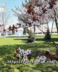 Capsular House, хостел фото