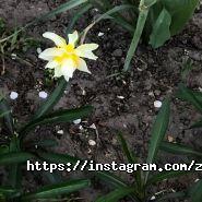 Ключ, агентство нерухомості фото