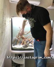 Aquaproject, студія акваріумного дизайну фото