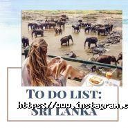 Бумеранг-Тур, туристичне агентство фото