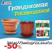 Альф, зоомагазин фото