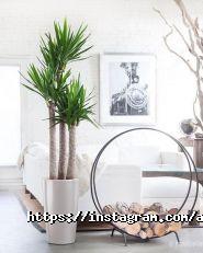 Авеста Флора, квіткова студія фото