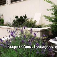 Zeleno, студія ландшафтного дизайну фото