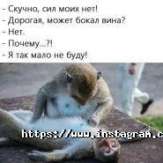 Нора, караоке-паб фото