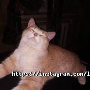 Ларса, салон краси фото