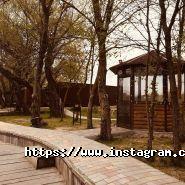 Up Service, сервісний центр фото